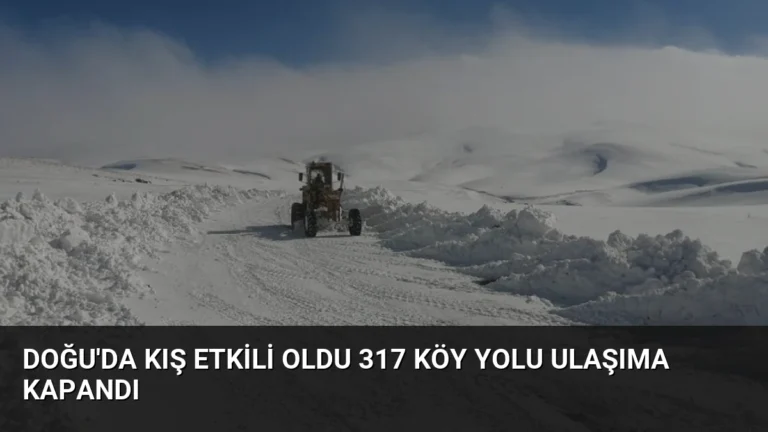Doğu’da Kış Etkili Oldu 317 Köy Yolu Ulaşıma Kapandı