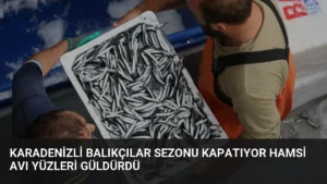 Karadenizli Balıkçılar Sezonu Kapatıyor Hamsi Avı Yüzleri Güldürdü