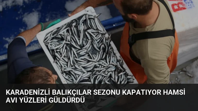 Karadenizli Balıkçılar Sezonu Kapatıyor Hamsi Avı Yüzleri Güldürdü