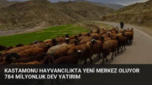 Kastamonu Hayvancılıkta Yeni Merkez Oluyor 784 Milyonluk Dev Yatırım
