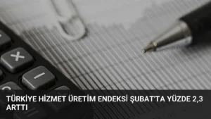 Türkiye Hizmet Üretim Endeksi Şubat'ta Yüzde 2,3 Arttı