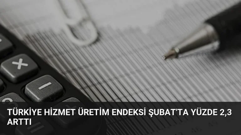Türkiye Hizmet Üretim Endeksi Şubat’ta Yüzde 2,3 Arttı