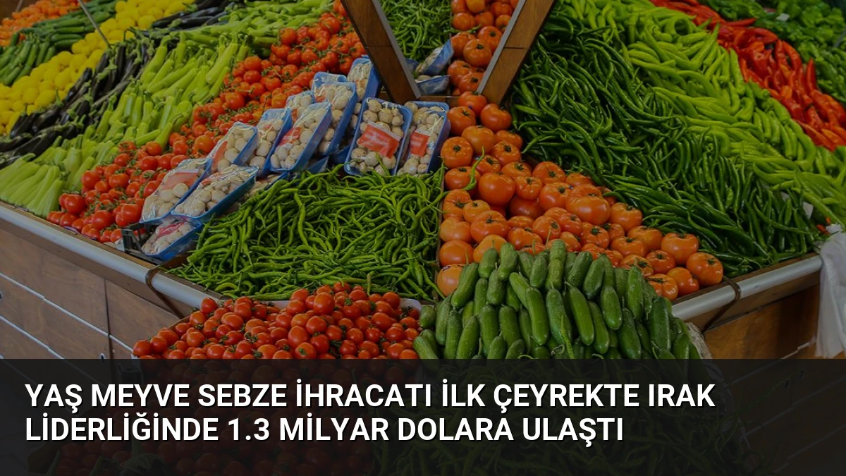 Yaş Meyve Sebze İhracatı İlk Çeyrekte Irak Liderliğinde 1.3 Milyar Dolara Ulaştı