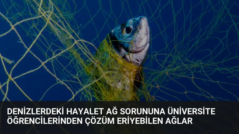 Denizlerdeki Hayalet Ağ Sorununa Üniversite Öğrencilerinden Çözüm Eriyebilen Ağlar