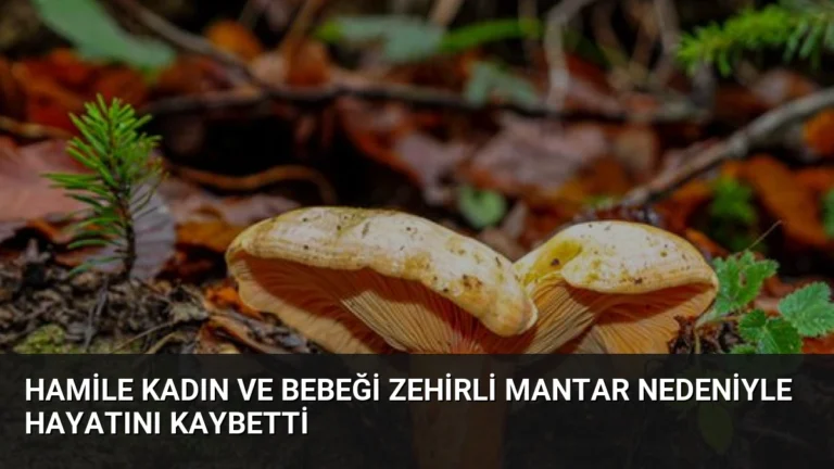 Hamile Kadın ve Bebeği Zehirli Mantar Nedeniyle Hayatını Kaybetti