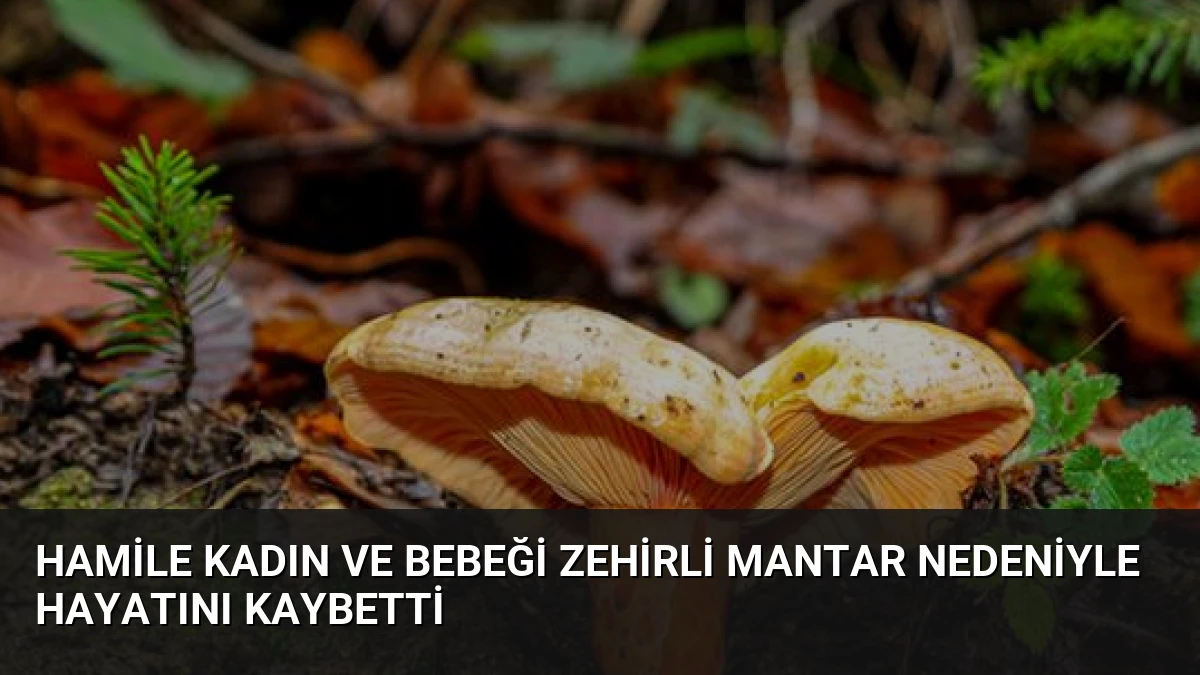 Hamile Kadın ve Bebeği Zehirli Mantar Nedeniyle Hayatını Kaybetti