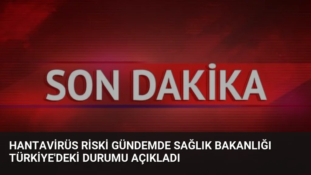 Hantavirüs Riski Gündemde Sağlık Bakanlığı Türkiye'deki Durumu Açıkladı