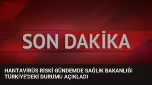 Hantavirüs Riski Gündemde Sağlık Bakanlığı Türkiye'deki Durumu Açıkladı