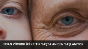 İnsan Vücudu İki Kritik Yaşta Aniden Yaşlanıyor