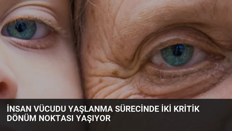 İnsan Vücudu Yaşlanma Sürecinde İki Kritik Dönüm Noktası Yaşıyor