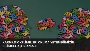 Karmaşık Kelimeleri Okuma Yeteneğimizin Bilimsel Açıklaması