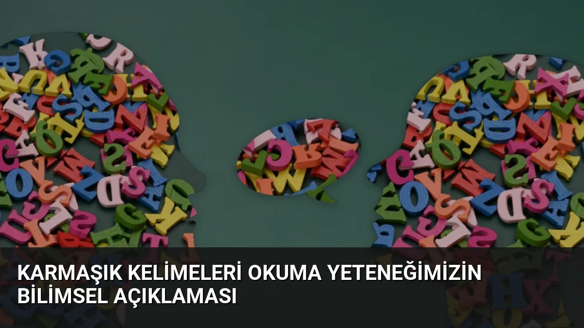 Karmaşık Kelimeleri Okuma Yeteneğimizin Bilimsel Açıklaması