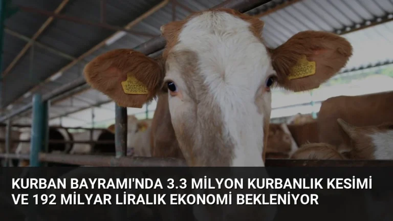 Kurban Bayramı’nda 3.3 Milyon Kurbanlık Kesimi ve 192 Milyar Liralık Ekonomi Bekleniyor