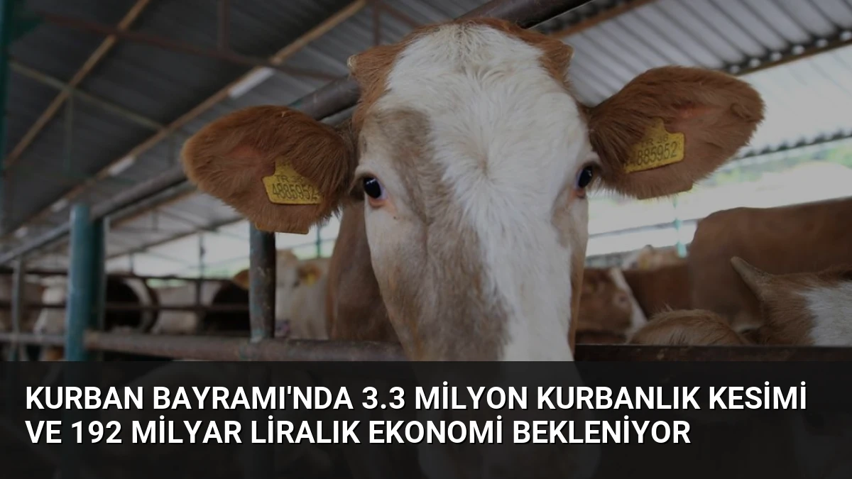 Kurban Bayramı’nda 3.3 Milyon Kurbanlık Kesimi ve 192 Milyar Liralık Ekonomi Bekleniyor