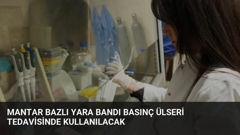 Mantar Bazlı Yara Bandı Basınç Ülseri Tedavisinde Kullanılacak