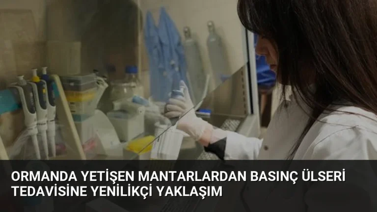 Ormanda Yetişen Mantarlardan Basınç Ülseri Tedavisine Yenilikçi Yaklaşım