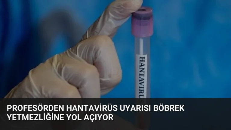 Profesörden Hantavirüs Uyarısı Böbrek Yetmezliğine Yol Açıyor