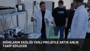 Sığırların sağlığı yerli projeyle artık anlık takip edilecek