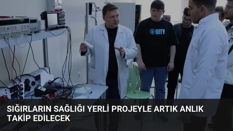 Sığırların sağlığı yerli projeyle artık anlık takip edilecek