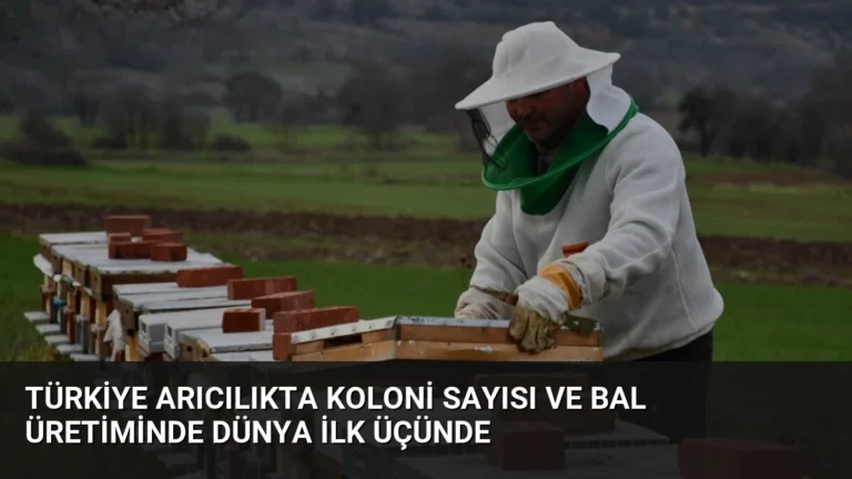 Türkiye Arıcılıkta Koloni Sayısı ve Bal Üretiminde Dünya İlk Üçünde