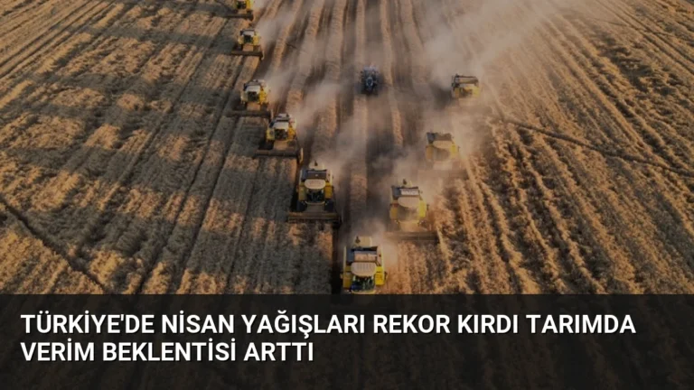 Türkiye’de Nisan Yağışları Rekor Kırdı Tarımda Verim Beklentisi Arttı