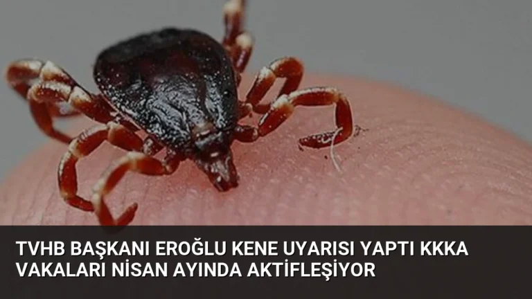 TVHB Başkanı Eroğlu Kene Uyarısı Yaptı KKKA Vakaları Nisan Ayında Aktifleşiyor