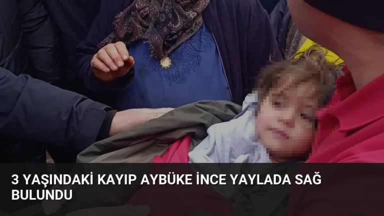 3 Yaşındaki Kayıp Aybüke İnce Yaylada Sağ Bulundu