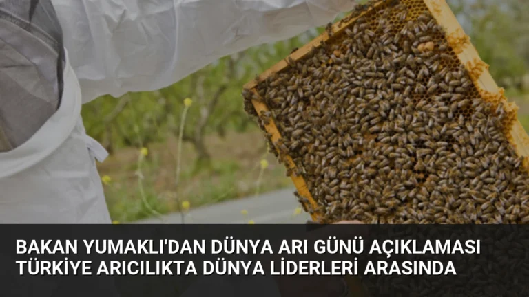 Bakan Yumaklı’dan Dünya Arı Günü açıklaması Türkiye arıcılıkta dünya liderleri arasında