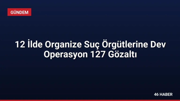 12 İlde Organize Suç Örgütlerine Dev Operasyon 127 Gözaltı
