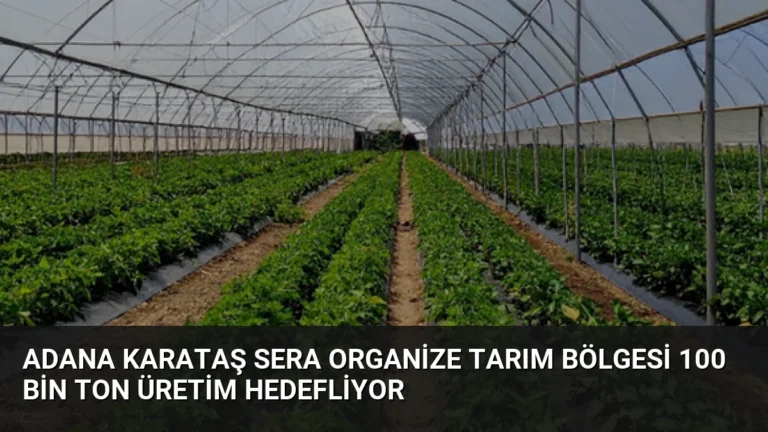 Adana Karataş Sera Organize Tarım Bölgesi 100 Bin Ton Üretim Hedefliyor