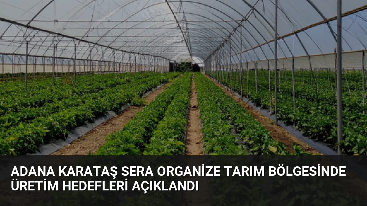 Adana Karataş Sera Organize Tarım Bölgesinde Üretim Hedefleri Açıklandı