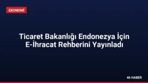Ticaret Bakanlığı Endonezya İçin E-İhracat Rehberini Yayınladı