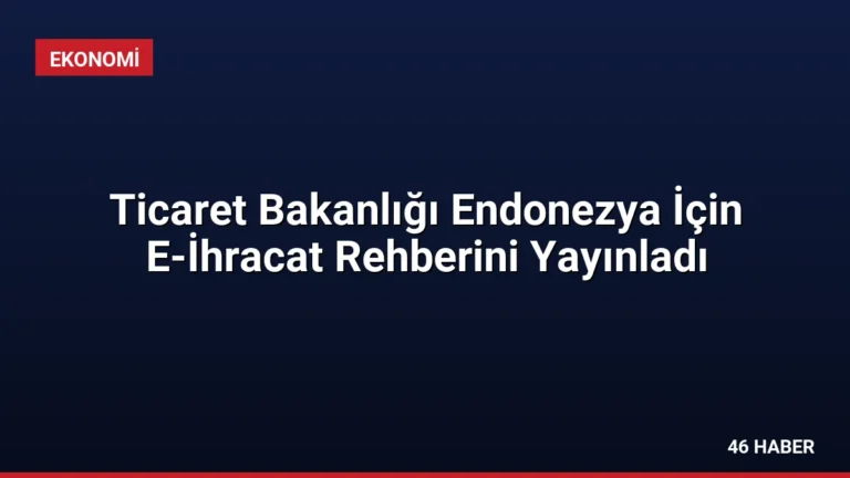 Ticaret Bakanlığı Endonezya İçin E-İhracat Rehberini Yayınladı