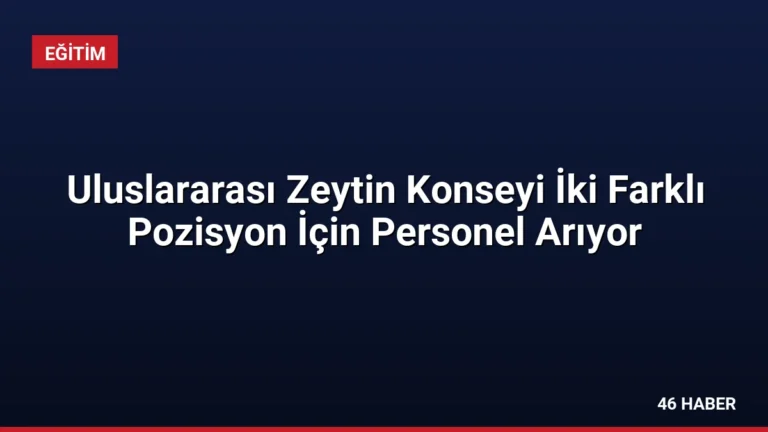 Uluslararası Zeytin Konseyi İki Farklı Pozisyon İçin Personel Arıyor