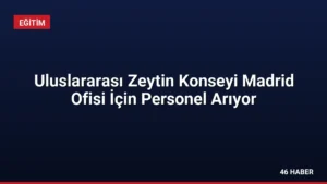 Uluslararası Zeytin Konseyi Madrid Ofisi İçin Personel Arıyor
